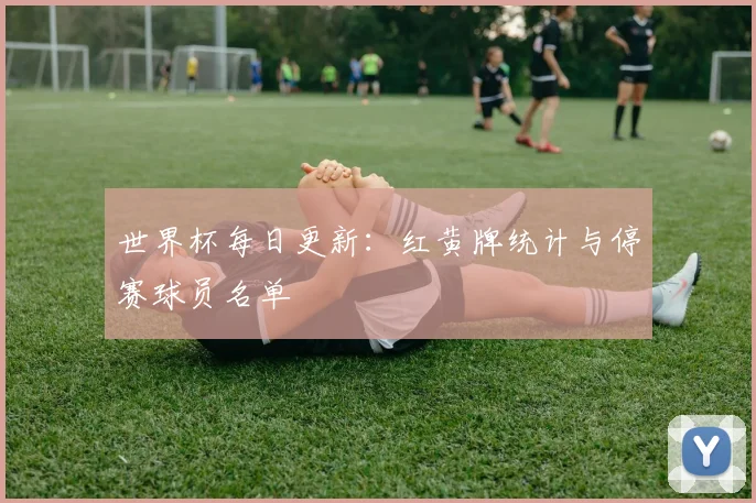 世界杯每日更新：红黄牌统计与停赛球员名单