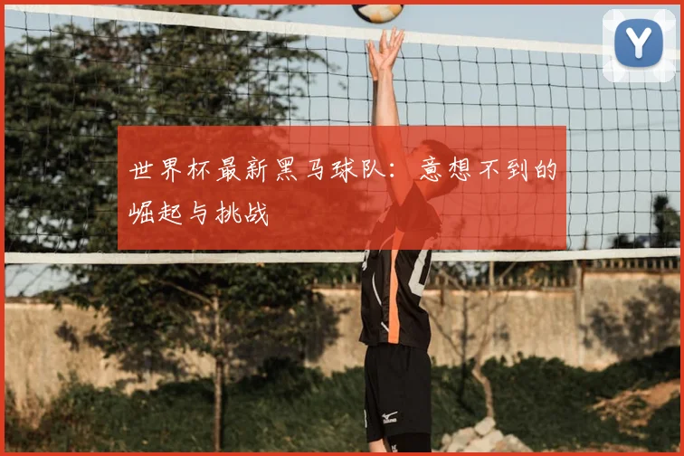 世界杯最新黑马球队：意想不到的崛起与挑战